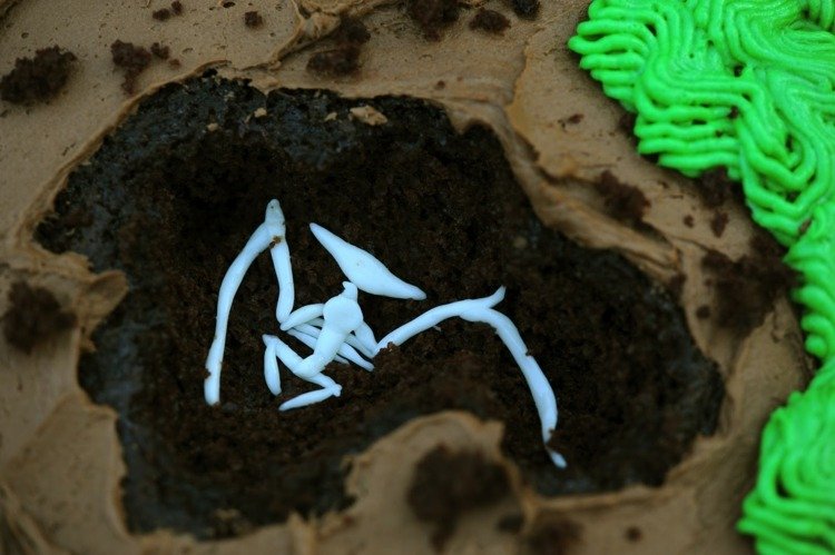 Vyrobte si svoj vlastný fondán z fosílií dinosaurieho koláča a marshmallow