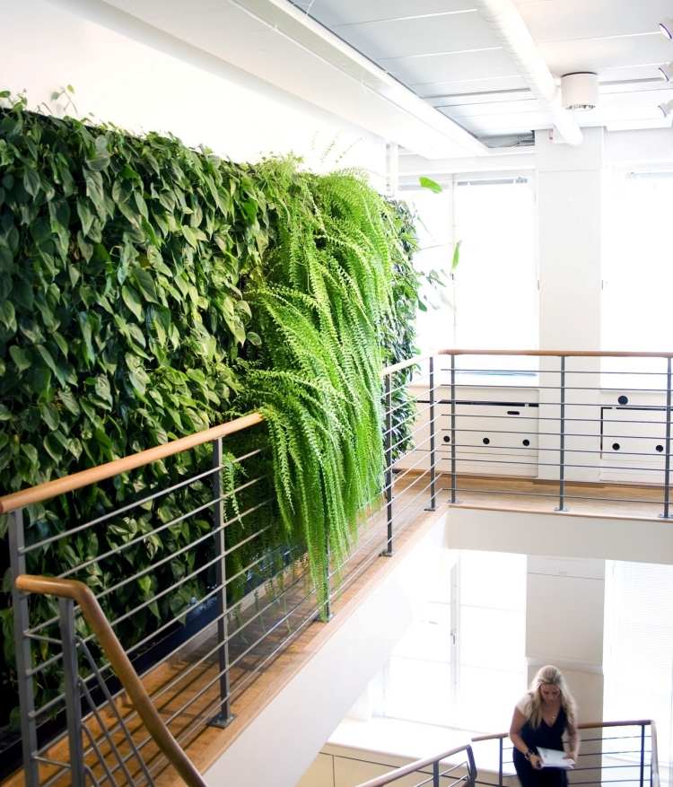 nádherná vertikálna záhrada na poslednom poschodí v schodisku vertikálne-záhradné schodisko-kovové zábradlie-drevo-hzandlauf-okno-svetlé