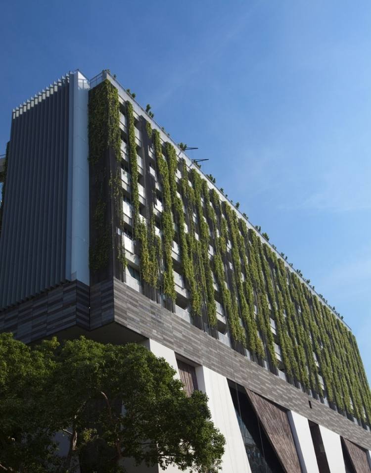 Fasáda s vertikálnou zeleňou ponúka niekoľko výhod vertikálna záhrada-vonkajšia-fasáda-budova-strom-moderná architektúra