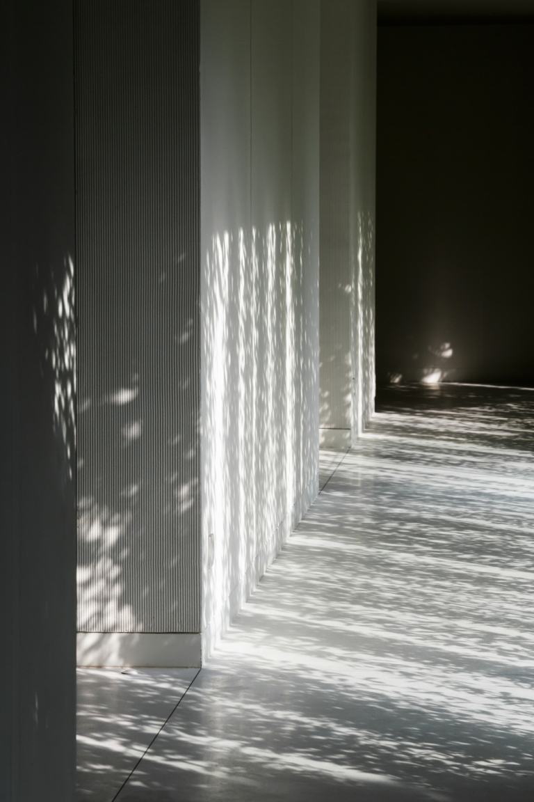 Textúrované steny vyzerajú ešte efektívnejšie vďaka tieňom rastlín