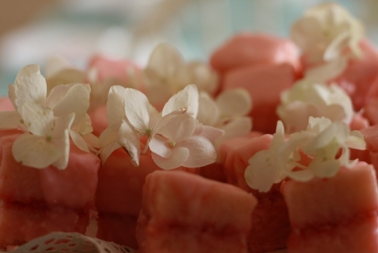 zaujímavý nápad na jedlo z prsta, veľa kúskov zaujímavý nápad na prípravu finger food vyskúšajte recept