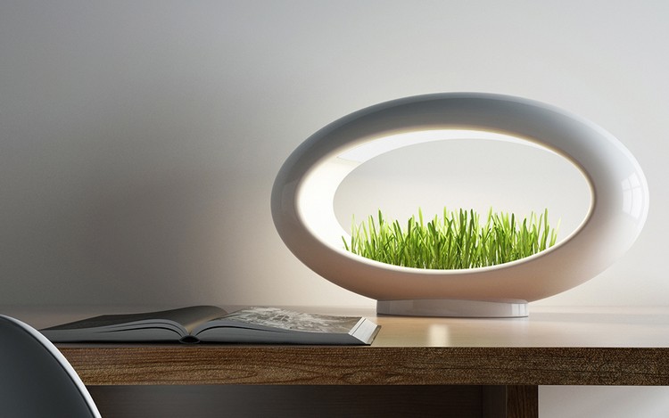 Pšeničná tráva zasadená do stolnej lampy LED stolná lampa mini-záhrada-pšenica-výsadba trávy