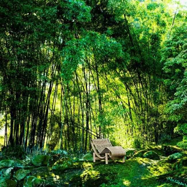 ležadlo cassina designer charlotte perriand vonkajšia ležadlo cassina designer charlotte perriand