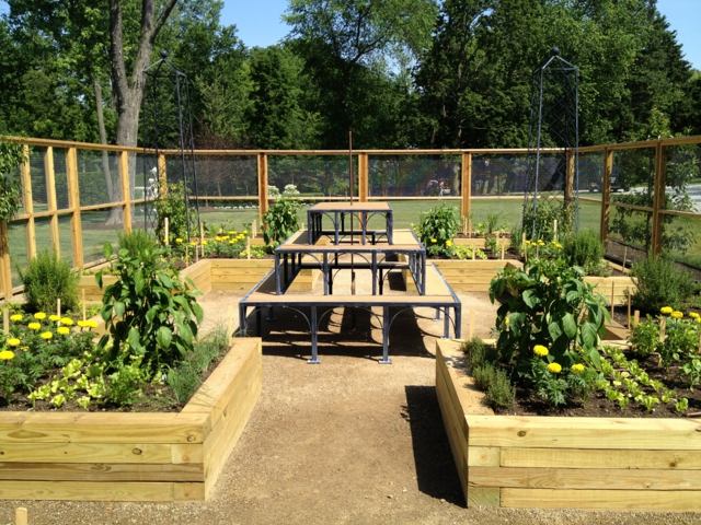 Plot vyvýšené postele drevo kukurica slnečnica postaviť sami