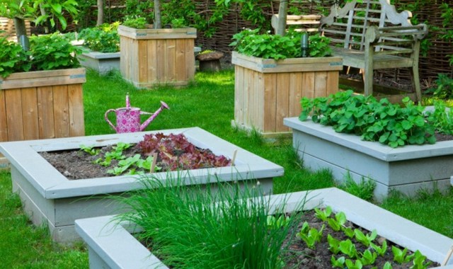 stavať zeleninu tipy na starostlivosť o rastliny kamenná drevená krabica