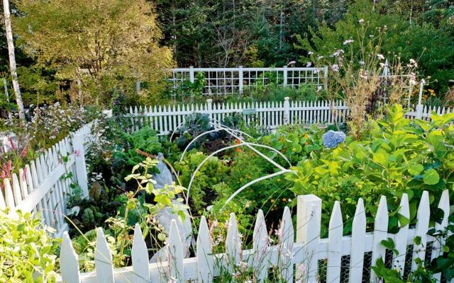 tipy na starostlivosť o oplotenie jarný vietor chráni pred nepriaznivým počasím