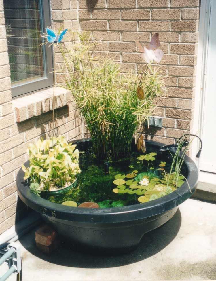 Z plastovej nádoby sa stane rybník mini-záhrada-jazierko-vytvorte-plast-nádoba-bambus-lekná