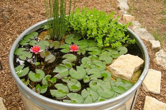 Záhradné jazierko staré vedrá rôznych typov zaujímavé v interiéri Záhradné jazierko vytvára v interiéri staré vedierka rôznych typov