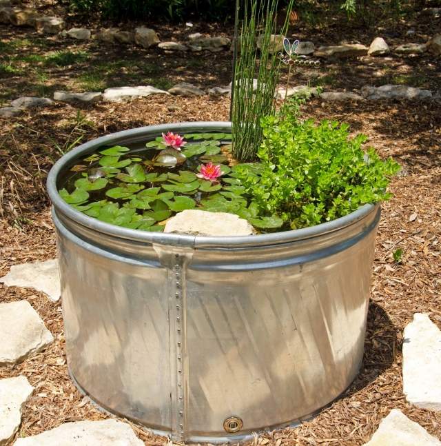 Záhradný jazierkový kontajner starý vedierko perfektné sadenie kvetov Vytvorte záhradný kontajner staré vedro perfektné výsadbu kvetov
