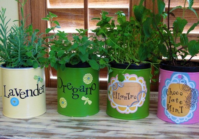 Vytvorte si doma bylinkovú záhradu, vymaľujte, označte