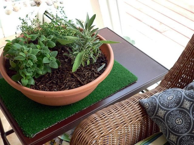 Bylinková záhrada doma mätový terakotový miskový stolík