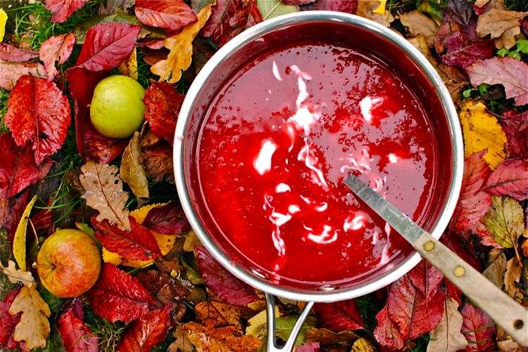 jednoduché zdravé jesenné recepty hrniec z jabĺk