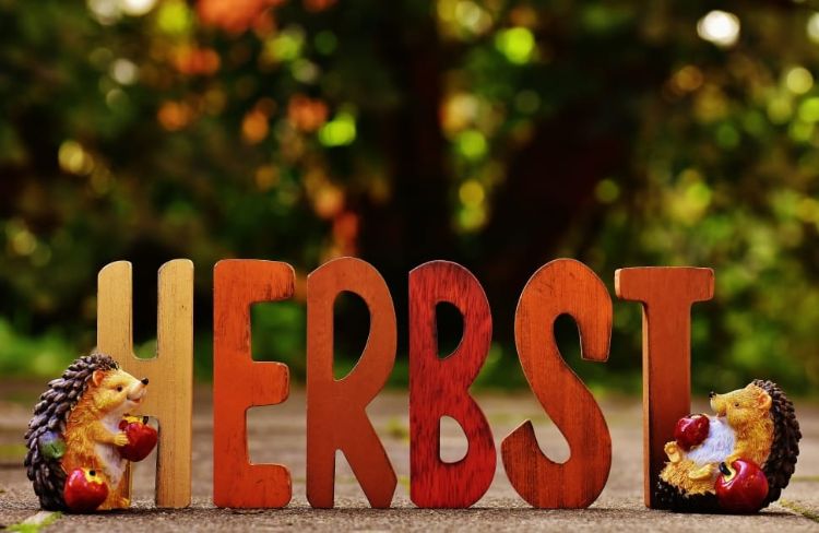 ľahké-zdravé-jesenné-recepty