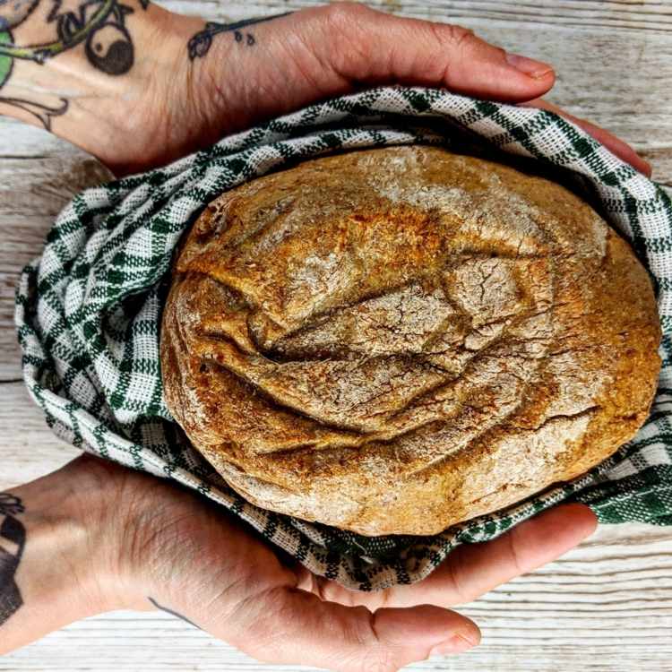 V pomalom hrnci upečte jednoduchý chlieb s múkou, droždím a vodou