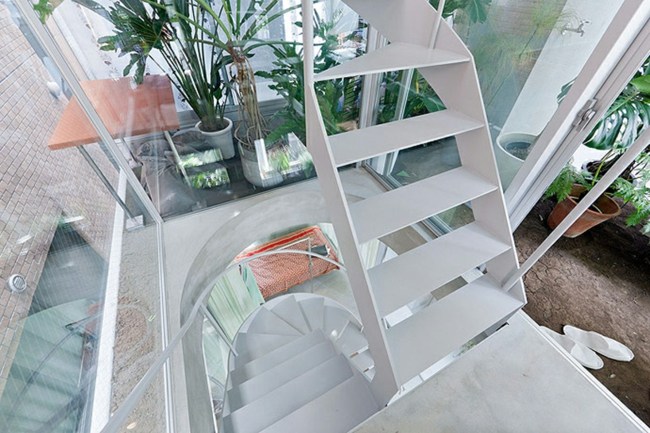 Na balkóne vysadené zelené stromy vysadené zelené stromy bonsai