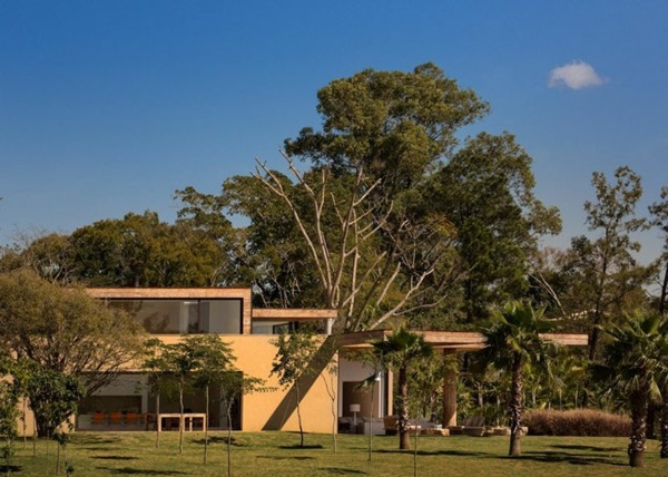 Dom les modernej architektúry veľké okná