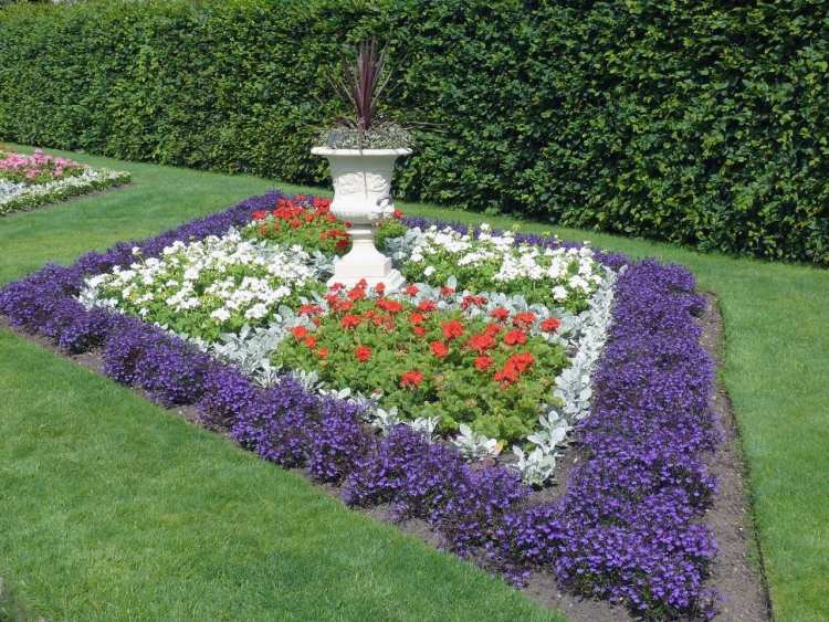 llila lobelia ako hranica Okrajové rastliny-dizajn-nápady-záhradné-lobelky