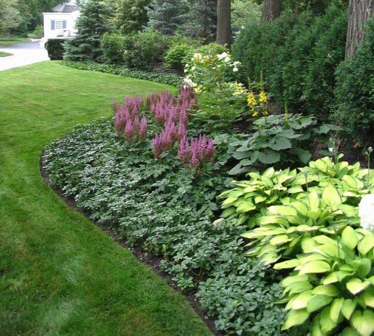 Pachysandra pôdopokryvná ako lemovacie rastliny Posteľné lemovanie-závod-dizajn-nápady-podstielka-trávnik-Pachysandra