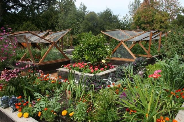 Vytvorte malú záhradnú zeleninovú náplasť a postavte skleník