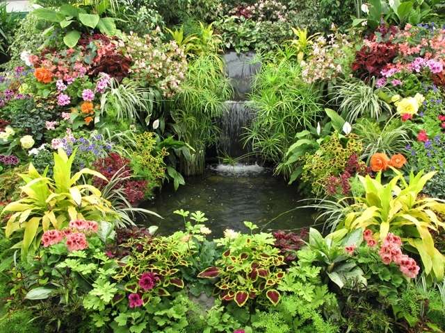 bujná vegetácia druhy rastlín farby kombinujú záhradnícke tipy