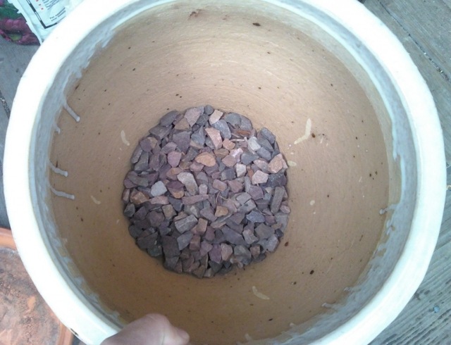 Transplantujte kvety - kúpte si väčší kvetináč tipy na presádzanie kvetov do väčšieho kvetináča