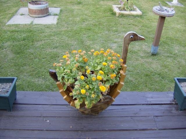 tipy na transplantáciu v črepníku pre začiatočníkov v záhradníctve transplantované črepníkové rastliny tipy na dekoráciu do záhrady