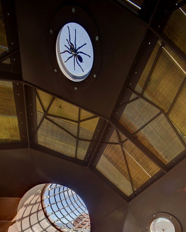 Nápady na dekoráciu hmyzu okenné ihrisko Myšlienky dekorácie hmyzu okná stavať ihrisko