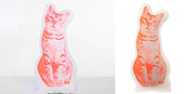 tabby-mačka-vankúš-dizajn-neónová-farba-detská izba-deco-Ross-Menuez