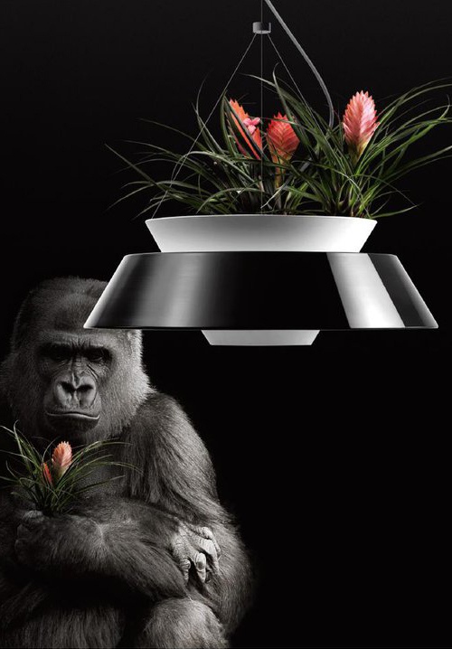 jedinečný dizajn osvetlenia kombinuje lampu a čierny kvetináč