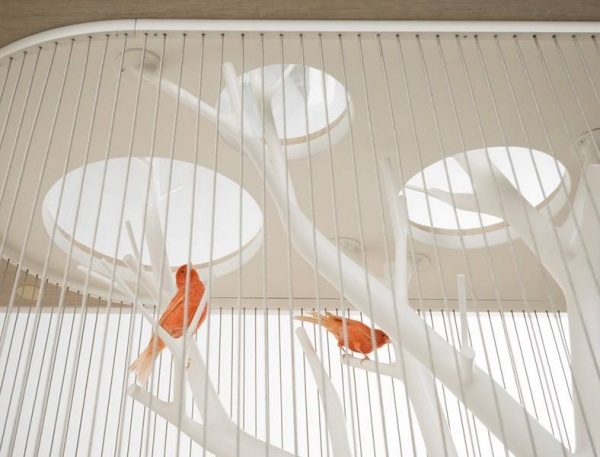 vyhľadávať archibird dizajnér stôl klietky pri pohľade nahor dizajnérsky stôl archibird s klietkou pre vtáky