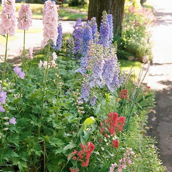 Lilac vidiecka záhrada