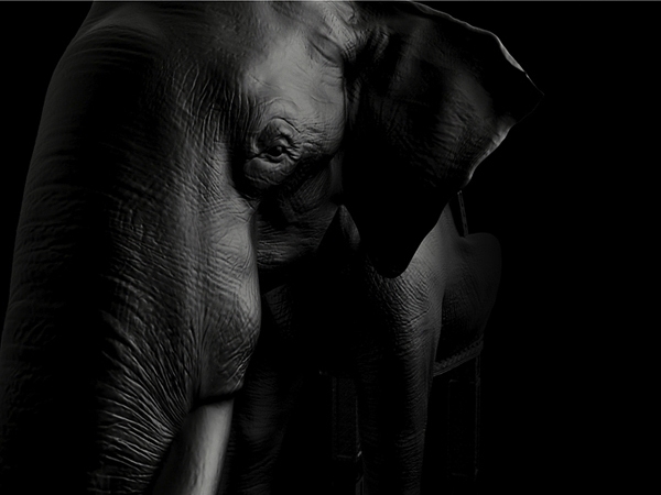 Sedací nábytok kožené dizajnové kreslo Sedací nábytok kožené dizajnové motívy vyrezávania kresiel