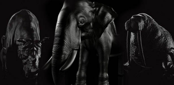 Kolekcia zvierat-kožený nábytok Kolekcia zvierat-kožené kreslo