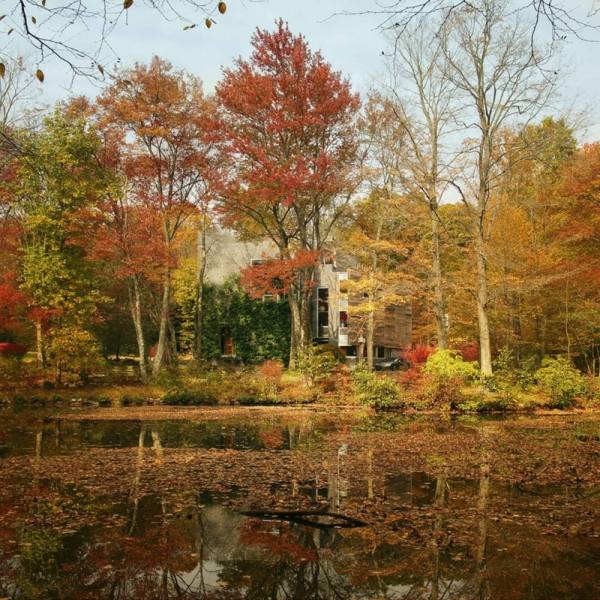 Art Barn house uprostred lesa