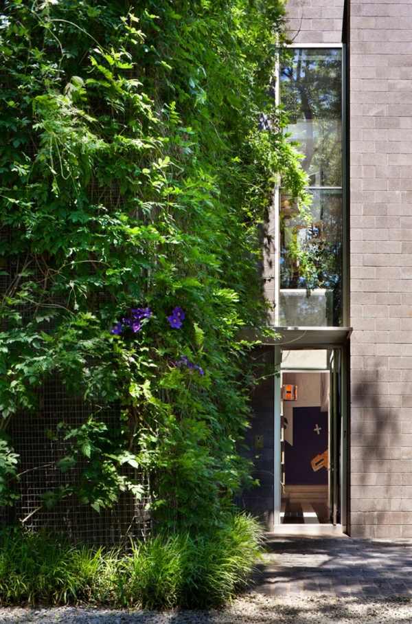 Butikový dom popínavých rastlín VIlla pred USA