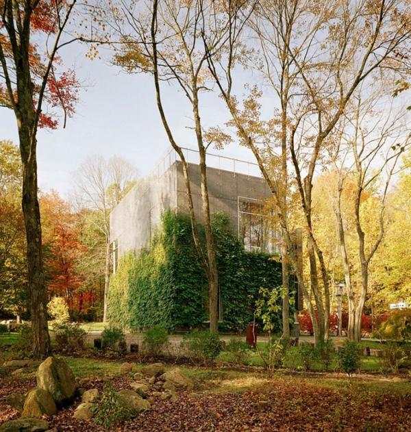 Art-Barn house uprostred lesov USA