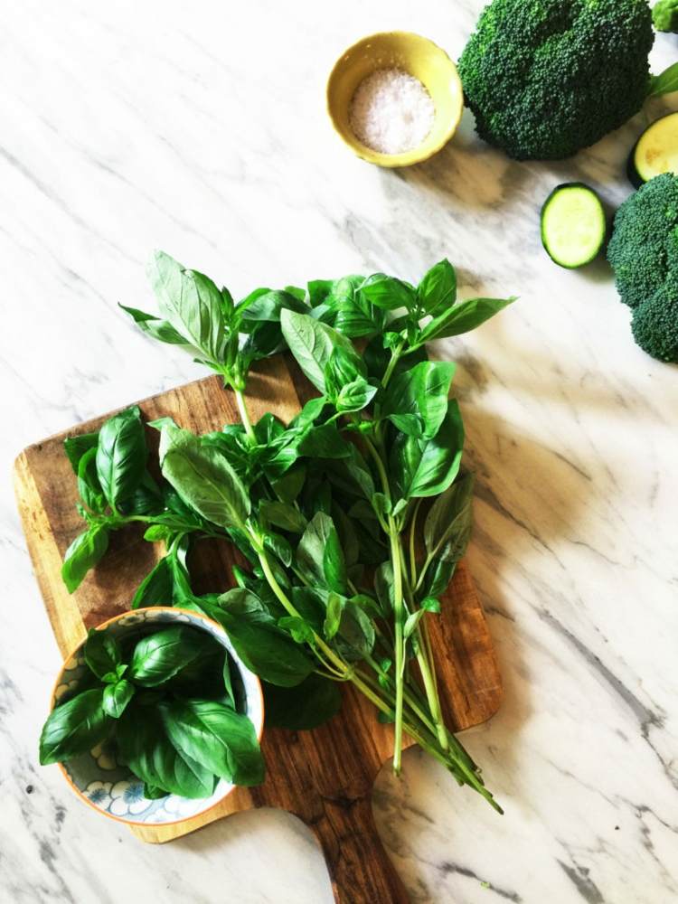 ingrediencie bazalka cuketa brokolica krémová polievka recepty