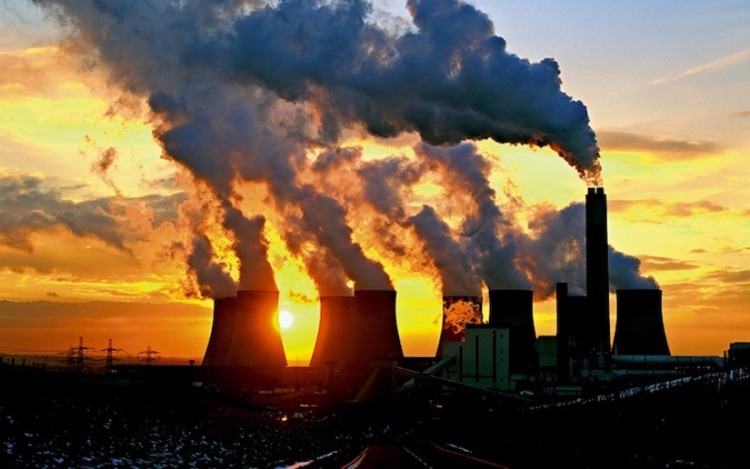 Para pochádzajúca zo znečistenia ovzdušia rastlín zápal nosovej nádchy