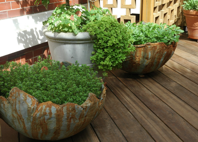 Výsadba jahôd v kvetináčoch na terase