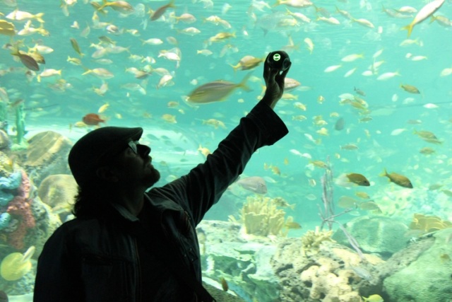 360-stupňový projekt Bublecam kickstarter inovatívny Inovatívny 360-stupňový štartér Bublecam