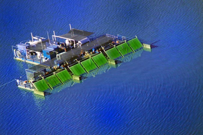 Farma pre riasy AFA ako potravu v jazere farma afa alge kalath lake usa oregon