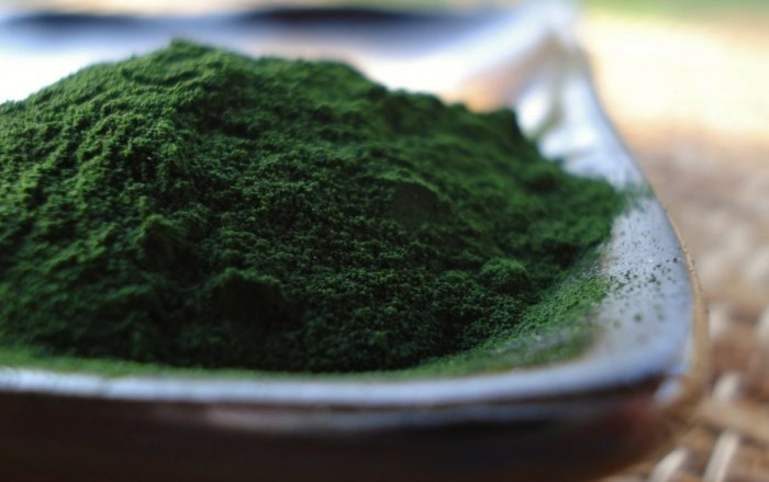 S práškovými riasami môžete mať zdravú výživu minerály chlorella prášok železo pepsín výživa zdravá