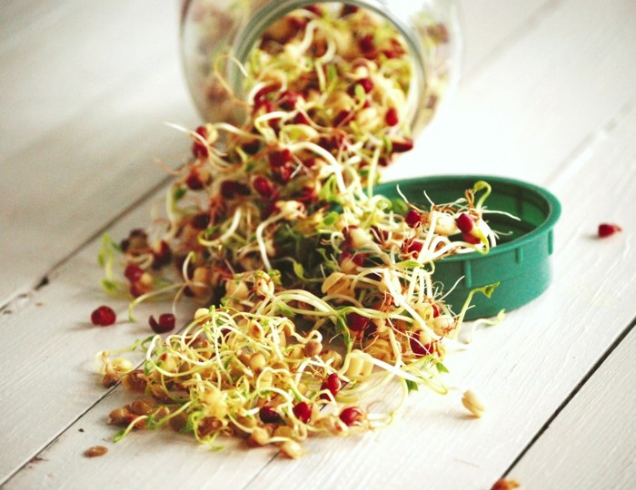 Diéta so sadenicami je vhodná na čistenie tela výživa so sadenicami konzervujúcimi veko jarných klíčkov