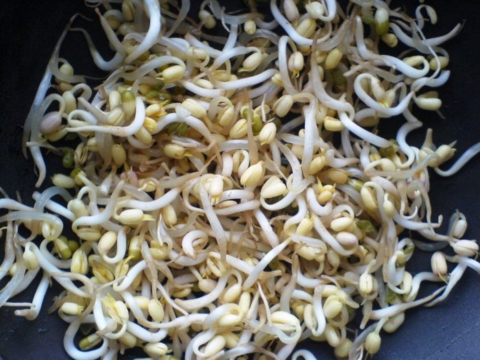 Sadenice majú vysoký obsah bielkovín, minerálov a vitamínov klíčky výživa so sadenicami vitamíny bielkoviny zelenina