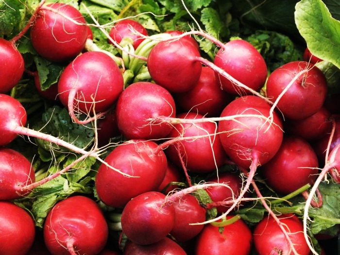 Zdravá strava je možná s reďkovkami a ich sadenicami reďkovky zelenina zdravé klíčky výživa detox