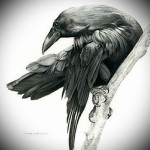fekete holló tetoválás vázlata 1