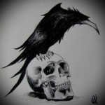 fekete holló tetoválás vázlata 4