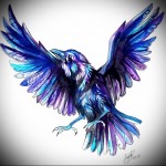 színes holló tetoválás vázlata 2