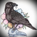 színes holló tetoválás vázlata 6
