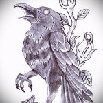 színes holló tetoválás vázlata 8